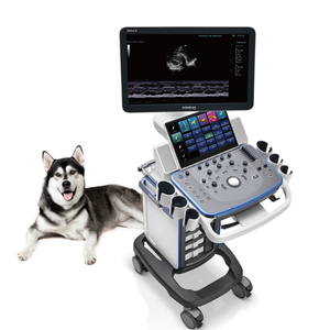 Sistema de ultrasonido de diagnóstico veterinario Mindray Vetus 5 original con sonda de matriz en fase microconvexa y Transductor lineal - Product Image 1