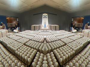 Hữu cơ trang trại tươi trắng vỏ gà thụ tinh Nở trứng bảng tươi bảo quản trứng gà - Product Image 3