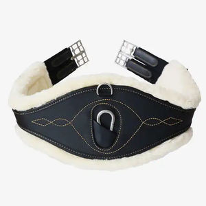 Sangle de Dressage en Néoprène avec Bordure et Boucle à Rouleau - Product Image 2