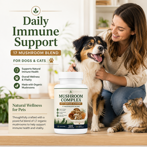 Capsules <span class=keywords><strong>de</strong></span> soutien immunitaire pour animaux <span class=keywords><strong>de</strong></span> compagnie OEM, complexe <span class=keywords><strong>de</strong></span> 17 champignons biologiques (Queue <span class=keywords><strong>de</strong></span> dinde, Crinière <span class=keywords><strong>de</strong></span> <span class=keywords><strong>lion</strong></span>) pour chiens et chats, marque privée - Product Image 2
