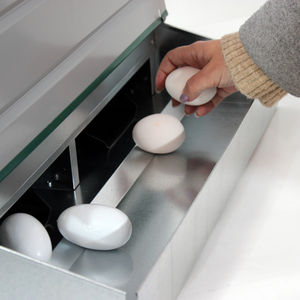 Gycfarm Galvanized Metal Nesting Box with 2 Compartments Easy Cleaning <b>Egg</b> Collection <b>Baskets</b> Protective Cover Livestock Farm - Product Image 5