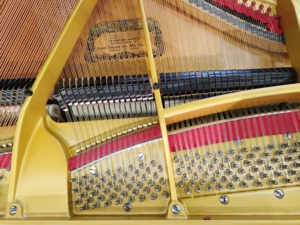 Kawai no.350 Grand Piano 88 Keys <b>Weighted</b> Solid Wood <b>Keyboard</b> Classic Style Professional Floor Mount no350 - Product Image 3