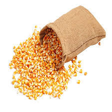 Maíz amarillo de primera calidad para consumo humano y animal - Product Image 2