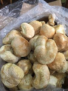 Hongo Melena de León Orgánico Seco, Hericium Erinaceus, Venta al por Mayor a Granel, Ms. Sophie - Product Image 6