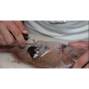 Equipo y herramientas profesionales de procesamiento de pescado de Japón, pelador de escamas de pescado de acero inoxidable - Product Image 6