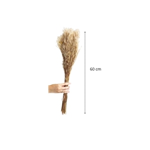 Ensemble de 50 herbes décoratives séchées naturelles, herbe de la pampa et fleurs séchées de style bohème pour la décoration de la maison et des vases de mariage - Product Image 4
