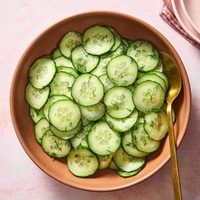 Vente chaude Concombres frais Qualité originale Pure Salade Légumes en vrac Fournitures Concombres frais de qualité supérieure