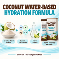 Fabricant de poudre d'électrolytes hydratante à base d'eau de coco OEM, formule personnalisée, saveur sur mesure, en sachet individuel, mélange pour boisson