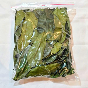 Feuilles de corossol séchées biologiques en vrac, thé de feuilles de graviola, produit à base de plantes naturel pour les soins de santé et le marché de l'exportation - Product Image 6