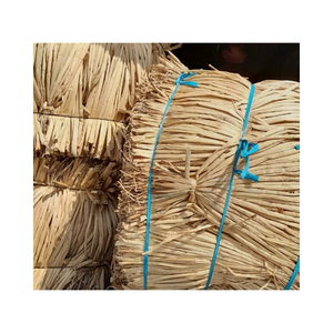 วัสดุผักตบชวาแห้งจากเวียดนาม ทนทาน ใช้งานได้ยาวนาน เหมาะสำหรับการผลิตของตกแต่งบ้านแบบเป็นมิตรต่อสิ่งแวดล้อมและสิ่งทอ - Product Image 1