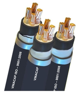 Cable de Fibra Óptica Aéreo No Metálico de Alta Calidad, 36 Núcleos, Autoportante, Modelo HNL25-TPKL36, Cables de Comunicación para Vietnam