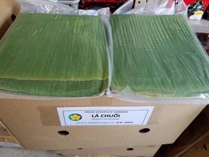 ใบกล้วยแช่แข็ง100% ใบกล้วยสีเขียวสดสำหรับทำห่อเค้กและสมุนไพรแบบดั้งเดิม - Product Image 5