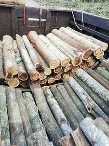 Wholesale Acacia Sawn <b>Timber</b> Customize Cut Size From Vietnam Factory - Product Image 4