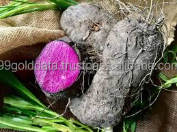 Découvrez les meilleures données d'or IQF Frozen Purple Yam - 99 du Vietnam - Product Image 2