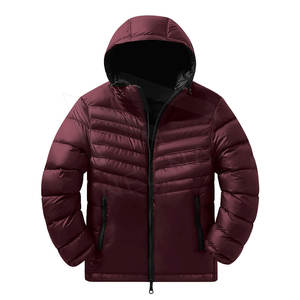 Veste matelassée d'hiver pour homme, personnalisée, design ODM, imperméable, respirante, avec capuche, style streetwear - Product Image 1