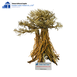 Hot Trend Estilo único bonsai Driftwood Para Agrega un toque natural Hecho en Vietnam - Product Image 6