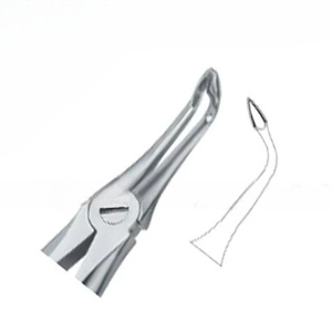 Pinzas para Extracción de Dientes Fig146, Manuales, de Acero Inoxidable de Alta Calidad, Certificación CE, Instrumentos Dentales, Venta Caliente, Logotipo Personalizado - Product Image 1