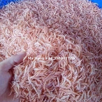 MEILLEUR PRIX SÉCHÉ AU SOLEIL BÉBÉ CREVETTES HAUTE PROTÉINE GAMMARUS, ALIMENTATION POUR TOUS LES POISSONS AQUATIQUES TORTUES CHIEN CHAT