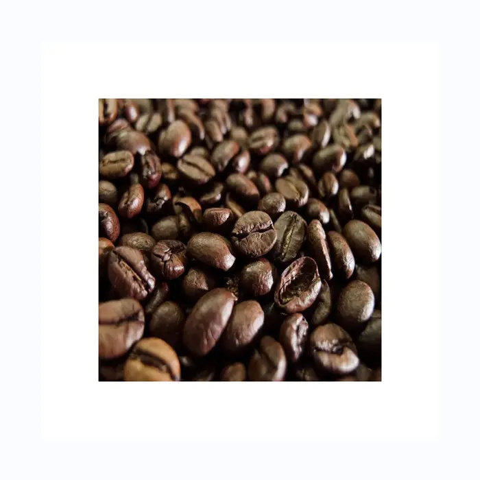 Washed processo di qualità Arabica chicchi di caffè verde chicchi di caffè crudo all'ingrosso ROBUSTA chicchi di caffè verde di alta qualità prezzo ragionevole