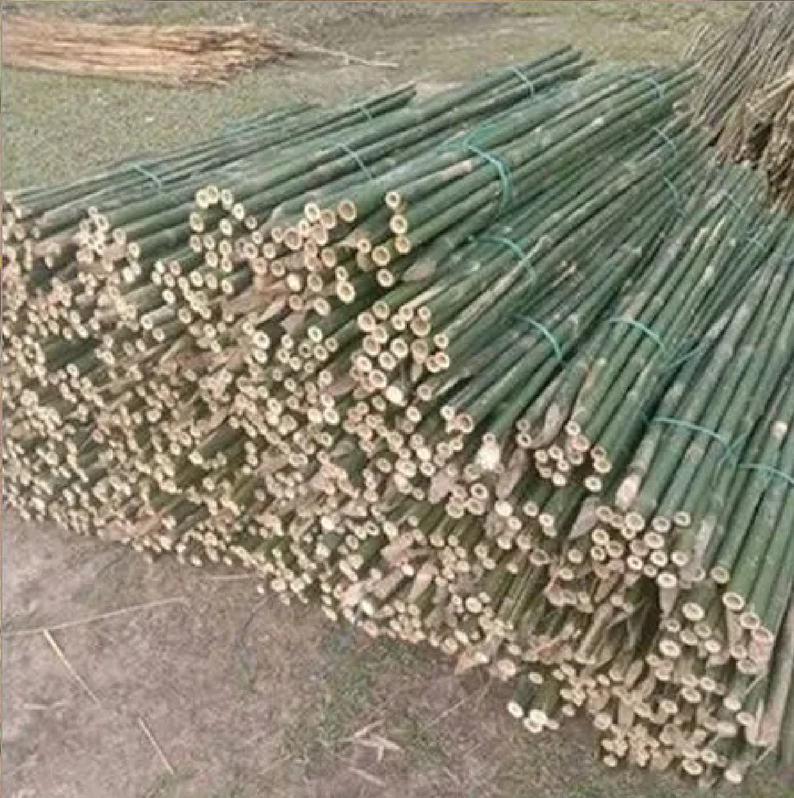 Handmade Dark Flame Cured Bamboo Pole – 1.5" Diameter – Choose Your Length From 1 Ft To 8 Ft – Made In USA - View #2