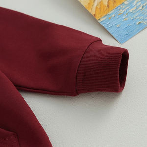 Sudaderas con capucha Niños Pullover Sudaderas Bebé Cremallera Fleece Hoodie - Product Image 6