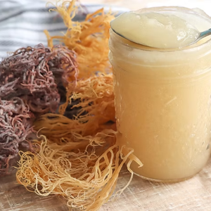 Venta al por mayor de musgo marino seco crudo de Vietnam Precio de alta calidad - Product Image 2