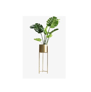 Long Look metal planter set including multiple sizes for coordinated <b>garden</b> displays or indoor arrangements with various plants - Product Image 1