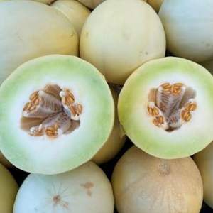 Melons de miel frais de qualité supérieure, grade d'exportation classe I, 12%+ de Brix élevé, chair verte douce, vente en gros directe - Product Image 2