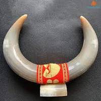 Corne de vache faite montée décoration murale corne de vache de buffle montée accessoires de décoration de maison de luxe corne de boeuf décoration murale montée et à bas prix