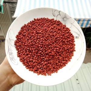 Pida annatto seco natural de calidad a granel de exportación de origen recién cosechado en Vietnam - Product Image 2