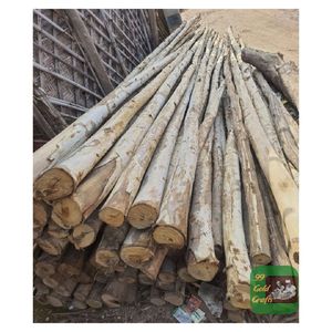 Poteaux en bois d'eucalyptus 1,8 m, bois dur naturel, pour le soutien des plantations, projets agricoles et structures extérieures polyvalentes - Product Image 5