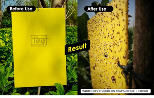 Theo yêu cầu nóng chảy côn trùng keo LDPE Túi kiểm soát dịch hại sản phẩm - Product Image 3