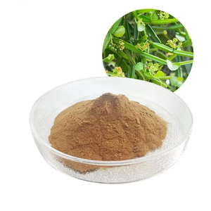 สารสกัดจากรากซิสซัส ควอดรังกูลาริส คุณภาพสูง บริสุทธิ์ 100% เกรดอาหาร สำหรับสุขภาพข้อต่อและกระดูก สารสกัดสมุนไพรธรรมชาติชนิดผง บรรจุภัณฑ์สุญญากาศ - Product Image 4