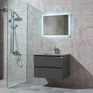 2024 Modern Wall Mounted Grey Plywood Bathroom Vanities Cabinet Mirror Bathroom