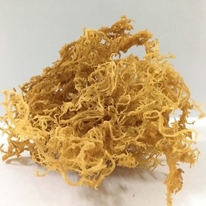 PREMIUM SEAMOSS GROS NATUREL SEA MOSS BON PRIX ALGUES SÉCHÉES POUR LES ALIMENTS DE EXPAD VIETNAM - Product Image 3
