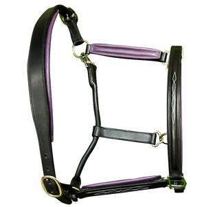 Equipo de equitación para deportes al aire libre de alta calidad, cabestro ajustable para caballos, nuevo cuello de cabeza de nailon - Product Image 3