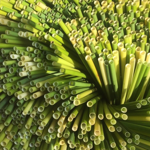 Pajitas de hierba natural 100%/no tóxicas y biodegradables/Seguras para la salud de los usuarios/hechas en Vietnam por Eco2go - Product Image 4