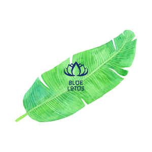 Hoja de plátano de Vietnam, alta calidad, gran precio - Product Image 1
