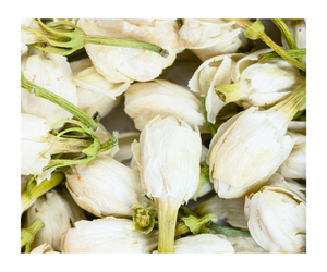 คาเฟอีนชาดอกมะลิธรรมชาติสำหรับการผ่อนคลาย - Product Image 4