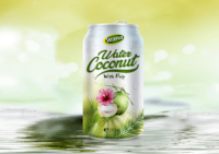 Verpakte Vietnamese kokoswaterdrank 250ml 320ml 500ml kant-en-klaar |   OEM ODM Private Label Vietnamese leverancier