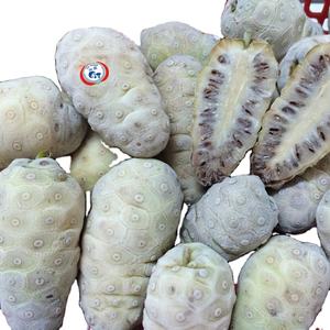 Fruits de Noni surgelés en gros à bon prix, livraison rapide ANGLE - Product Image 1