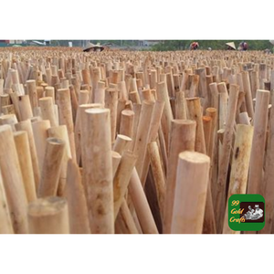 Factory Supply Eucalyptus <b>Wood</b> <b>Logs</b> for Construction Material Furniture Production and Export - Product Image 3