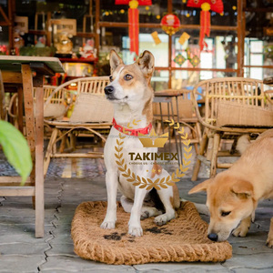 Tapis de coco fait main pour animaux de compagnie tapis d'extérieur pour animaux de compagnie tapis de coco pour animaux de compagnie prix très durable et bon marché du Vietnam - Product Image 2