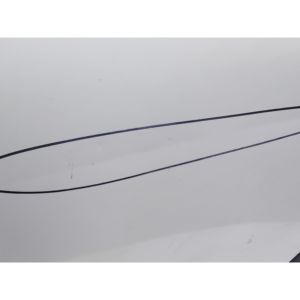 PORTA POSTERIORE SINISTRA SX MINI Countryman 1a Serie 41009805929 (10>) - Product Image 6