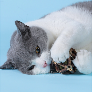 Palle di erba gatta di montagna e bastoncini di presa in giro in legno divertente simpatico simpatico cartone animato classico giocattoli per la dentizione per gatti - Product Image 3