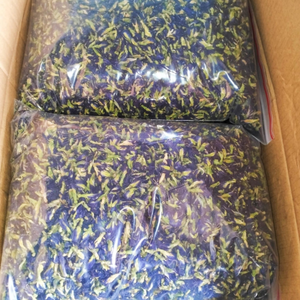 Vente en gros de thé fleur de pois papillon | Fraîchement séché avec une couleur bleu vif - Product Image 2