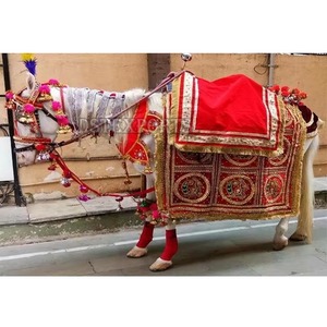 Disfraz de Caballo Blanco Bordado del Fabricante, Decoración para Bodas y Barat Ghodi - Product Image 3