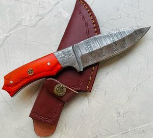 Couteau à dépecer damas couteau de chasse de survie avec gaine en cuir Style Cowboy supporté par OEM pour la chasse Camping manche rouge - Product Image 6