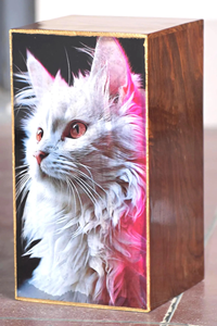 Urna de cremación para gatos con foto personalizada, recuerdo conmemorativo para mascotas, urnas de cremación para gatos y perros - Product Image 2