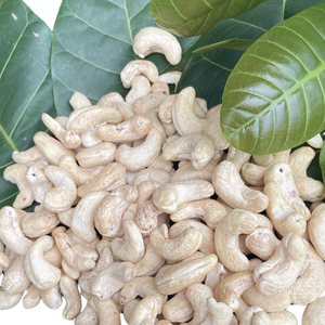 Fournisseur de confiance Noix de cajou Pas Cher Noix de cajou Vietnam Noix de cajou Ww180 Ww240 Ww320 De Santigo Vietnam - Product Image 1